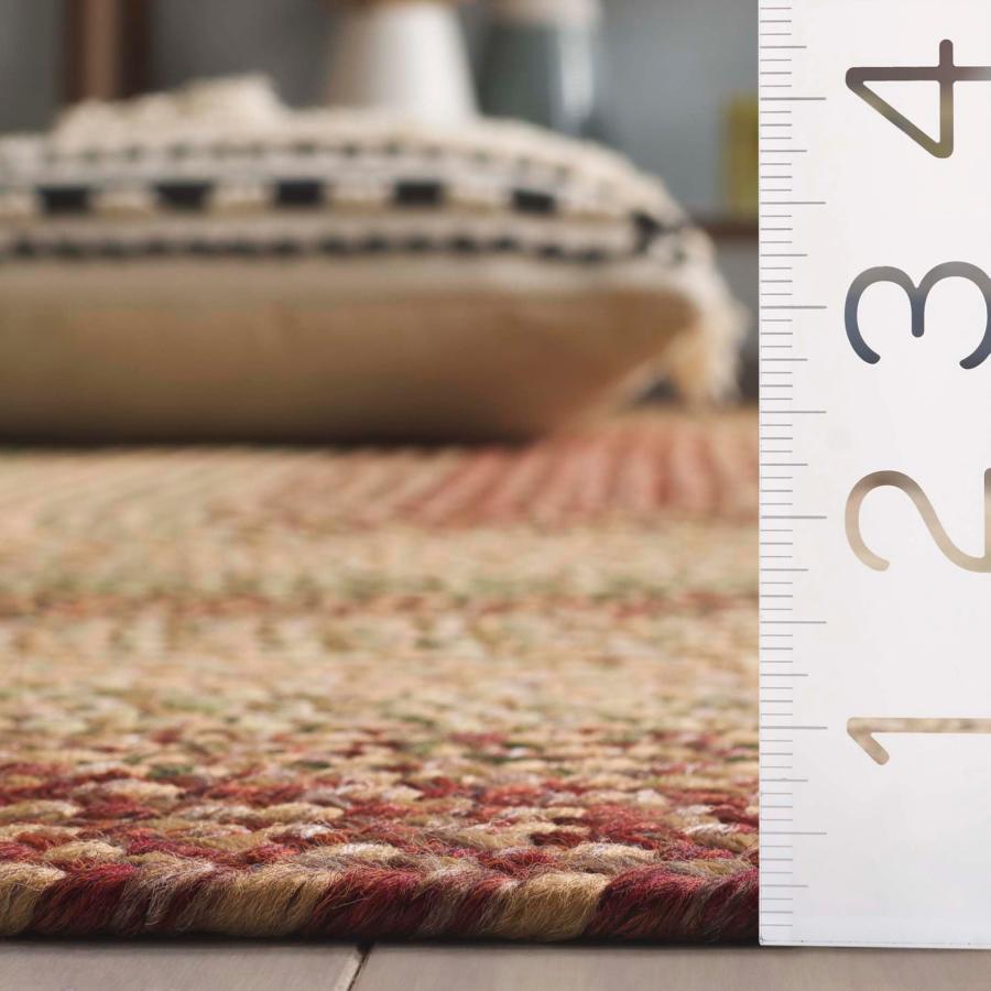 【並行輸入品】 SAFAVIEH Washable Rug Outdoor Braided Collection 4' x 6' Oval，_6