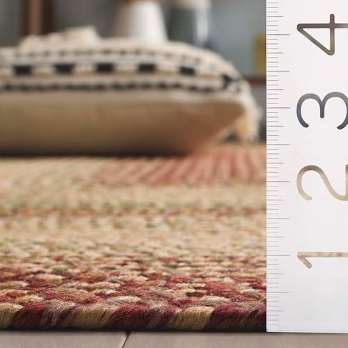 【並行輸入品】 SAFAVIEH Washable Rug Outdoor Braided Collection 4' x 6' Oval，_7