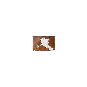 【並行輸入品】Brown and White Cowhide Rug 6ft x7 ft 180cm x 210 cm Sunshine Cow_5