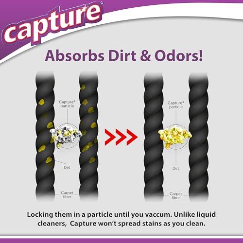 【並行輸入品】 Capture Carpet & Rug Dry Cleaner w/Resealable lid Home， Car， D
