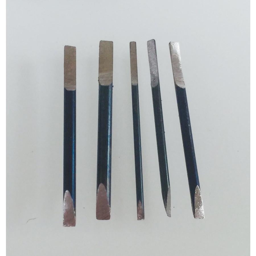 【並行輸入品】OTOOLWORLD 精密ドライバー5点セット 腕時計修理用 腕時計ブレスレット 5つのブレード付き OTOOLWORLD 5 P_6