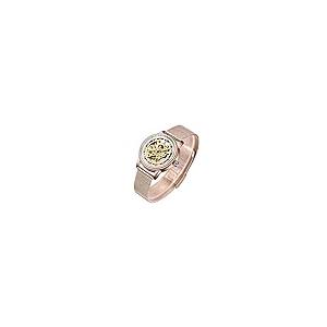 【並行輸入品】Bestn腕時計レディーススケルトンクリスタル自動機械腕時計 Gute Women's Watch Luxury Mechanic_2