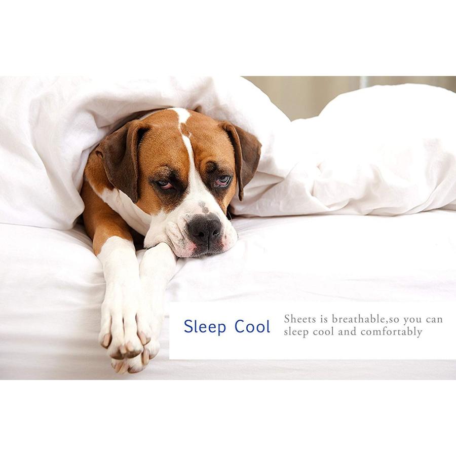 【並行輸入品】 Taj Linens Premium Bed Sheet Set， 18'' Dp， 500 TC Hypoallergenic_3