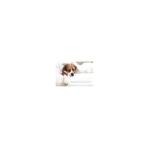 【並行輸入品】 Taj Linens Premium Bed Sheet Set， 18'' Dp， 500 TC Hypoallergenic_5