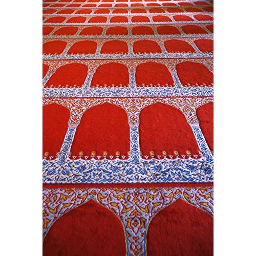 【並行輸入品】 Repeating Pattern On Red Carpet Poster Print (11 x 17)_1