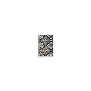 【並行輸入品】 Superior Crawford Area Rug， 2x3， Black_5