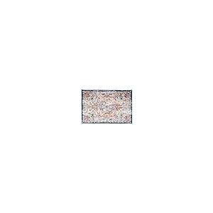 【並行輸入品】 Rugshop Vintage Distressed Bohemian Area Rug for Living Room， Be_5