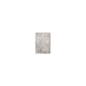 【並行輸入品】 SAFAVIEH Vogue Collection Accent Rug 3' x 5'， Beige & Grey， Mo_5