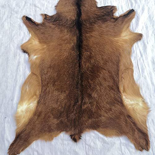 【並行輸入品】赤い鹿の皮の敷物、鹿の皮の敷物、鹿の剥製暖炉、鹿革の装飾、トナカイの隠れエリアラグ、動物マットカーペット、ホームオフィス、寝室、剥_1