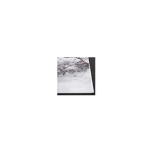 【並行輸入品】SAFAVIEH Craft Collection CFT877S Modern Abstract Non Shedding Li_5