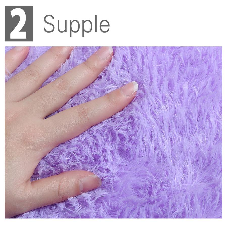 【並行輸入品】 Ruilogod 2.5cm Soft Fluffy Rugs Anti Skid Shaggy Rug Floor Mat D_6