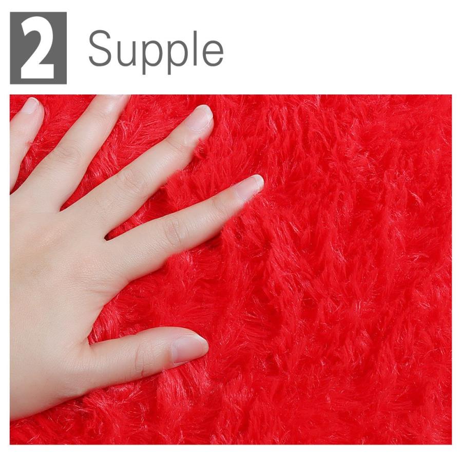 【並行輸入品】 Ruilogod 2.5cm Soft Fluffy Rugs Anti Skid Shaggy Rug Floor Mat D_6