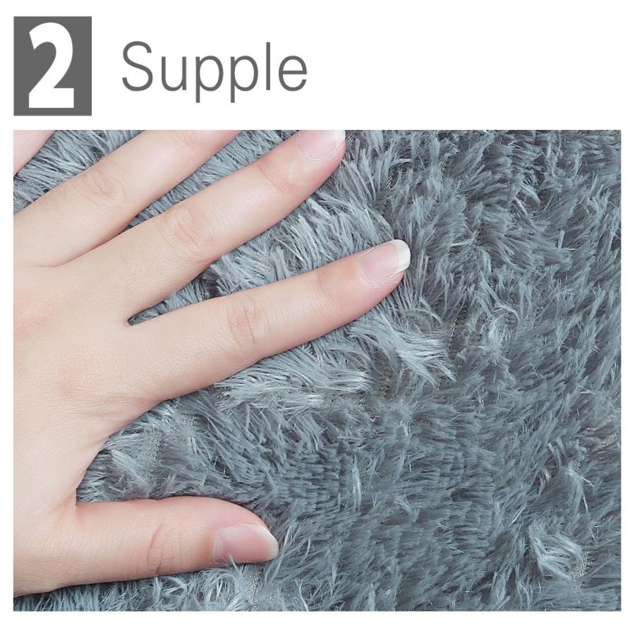 【並行輸入品】 Ruilogod 2.5cm Soft Fluffy Rugs Anti Skid Shaggy Rug Floor Mat D_6