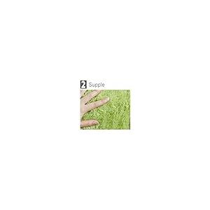 【並行輸入品】 Ruilogod 2.5cm Soft Fluffy Rugs Anti Skid Shaggy Rug Floor Mat D_8