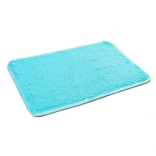 【並行輸入品】 Ruilogod 2.5cm Soft Fluffy Rugs Anti Skid Shaggy Rug Floor Mat D_1