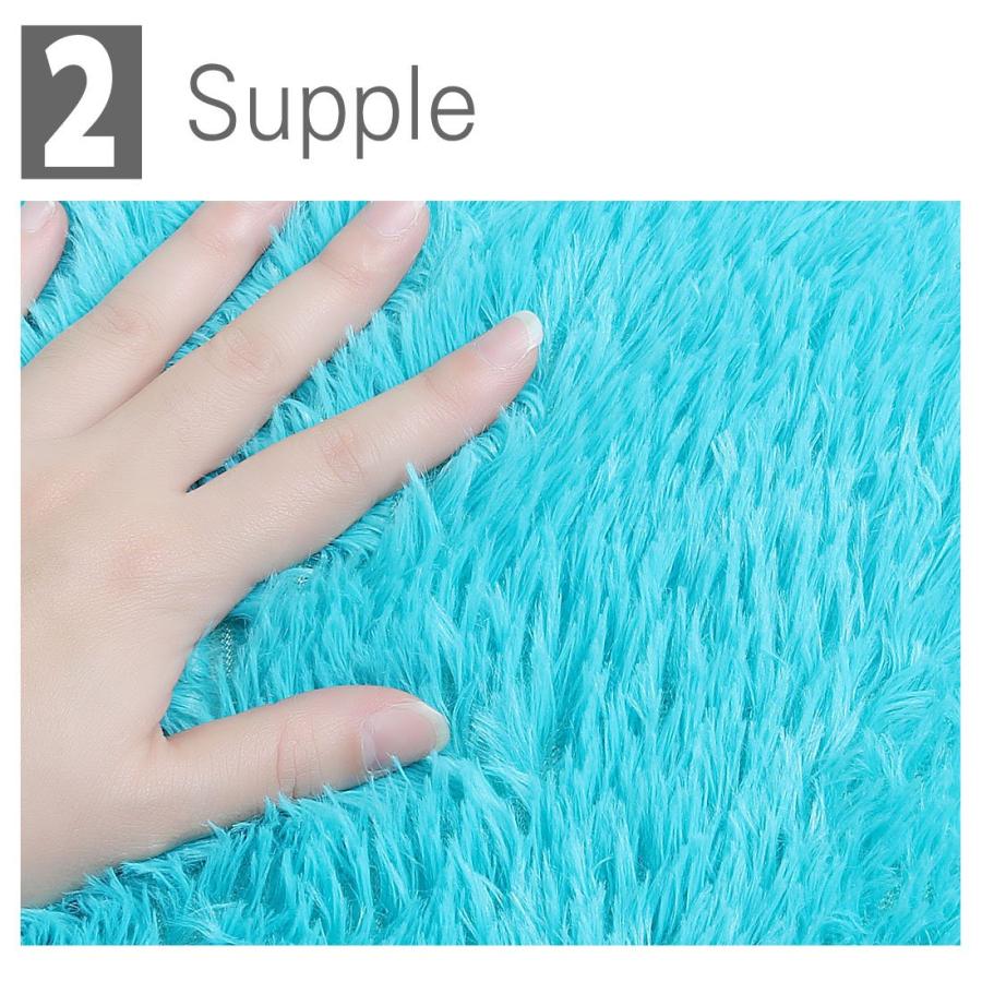 【並行輸入品】 Ruilogod 2.5cm Soft Fluffy Rugs Anti Skid Shaggy Rug Floor Mat D_6