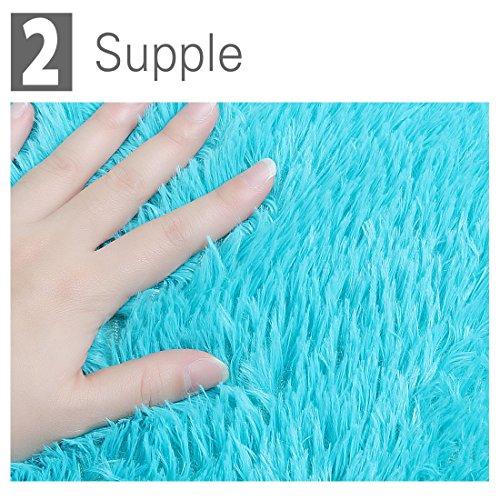 【並行輸入品】 Ruilogod 2.5cm Soft Fluffy Rugs Anti Skid Shaggy Rug Floor Mat D_7