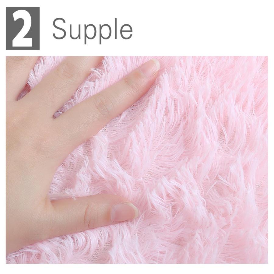 【並行輸入品】 Ruilogod 2.5cm Soft Fluffy Rugs Anti Skid Shaggy Rug Floor Mat D_6