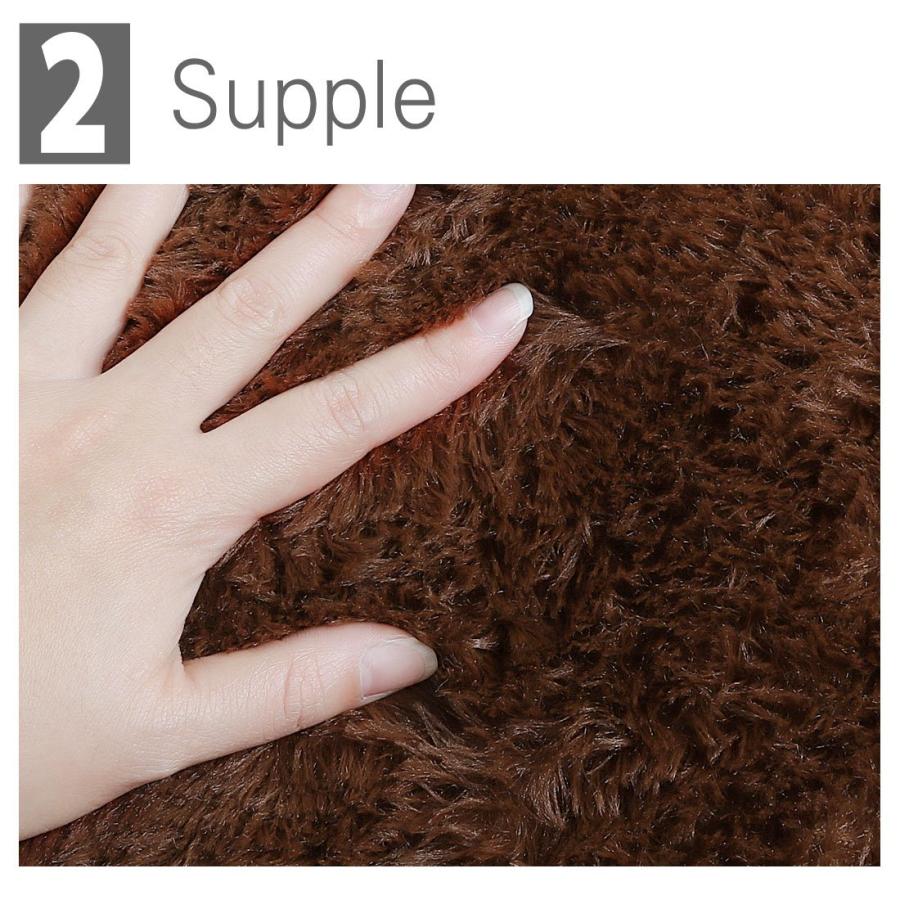 【並行輸入品】 Ruilogod 2.5cm Soft Fluffy Rugs Anti Skid Shaggy Rug Floor Mat D_6