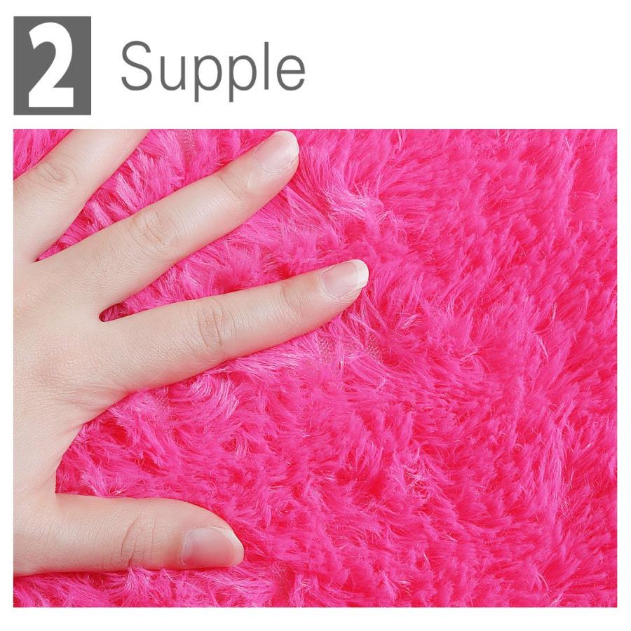 【並行輸入品】 Ruilogod 2.5cm Soft Fluffy Rugs Anti Skid Shaggy Rug Floor Mat D_6