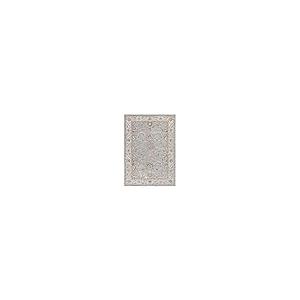 【並行輸入品】 SAFAVIEH Hamilton Collection Accent Rug 4' x 6'， Blue & Gold，_2