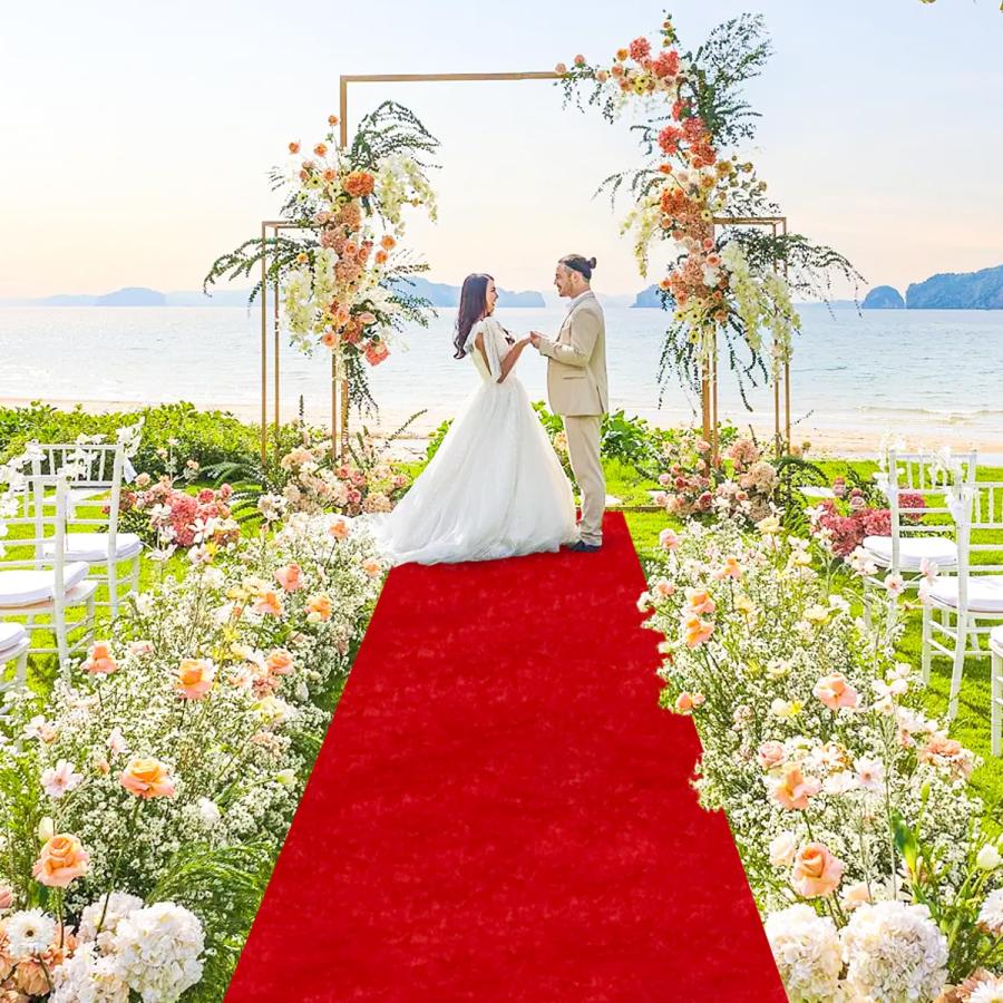 並行輸入品】 FANPROMS Red Carpet Runner for Party 5x25FT Wedding 