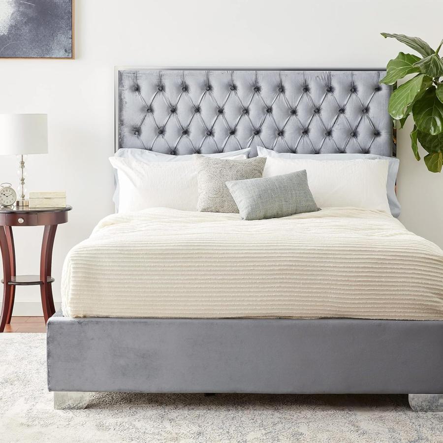 【並行輸入品】 Maykoosh Velvet Upholstered Bed with Chrome Frame   Modern Glamの画像