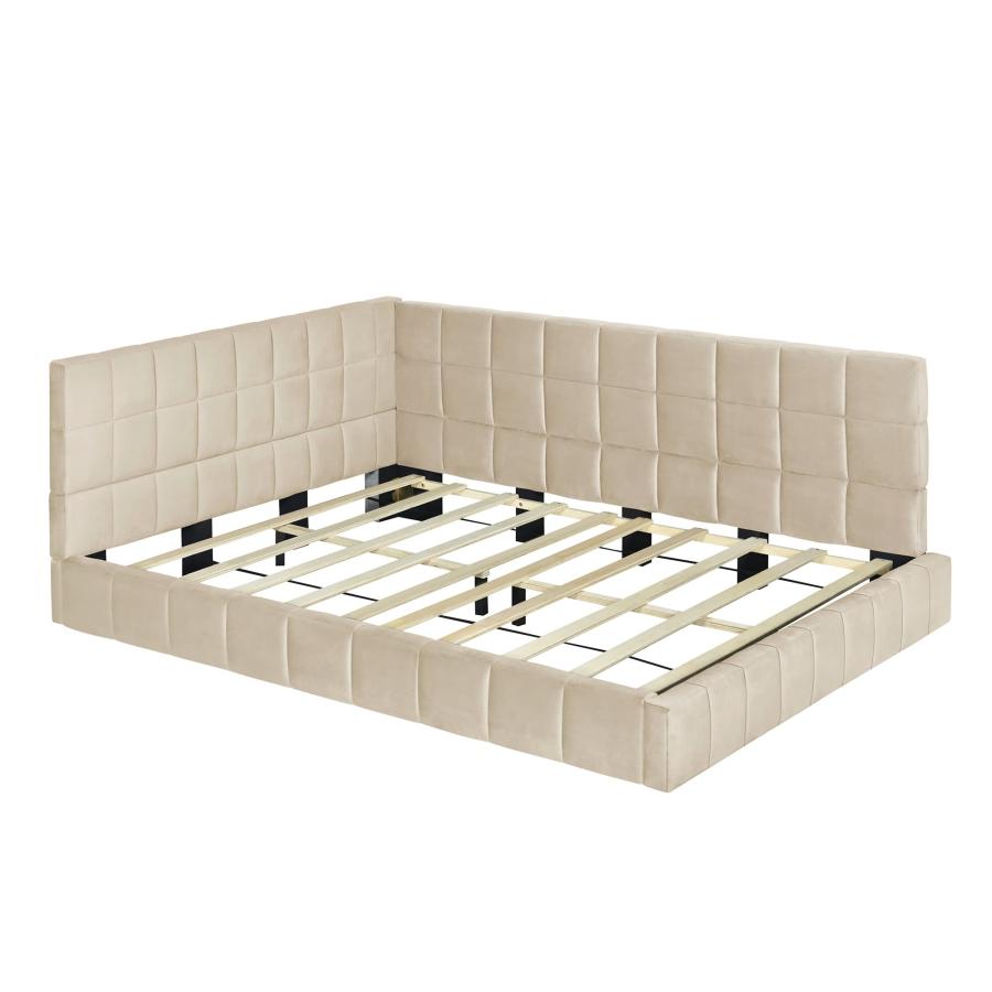 【並行輸入品】 Full Size Upholstered Daybed，Velvet Floor Sofa Bed with Backrest_6
