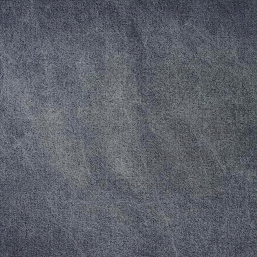 【並行輸入品】 HiEnd Accents Stonewashed Cotton Canvas Lumbar Throw Pillow， 14x_4