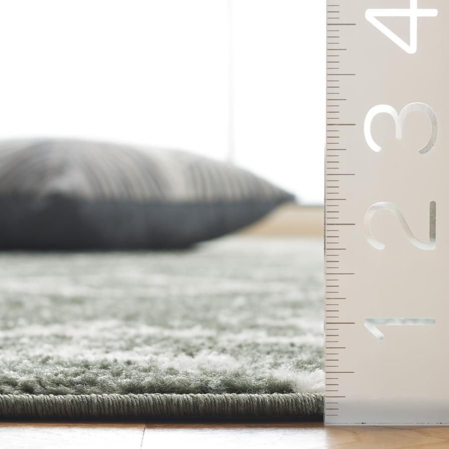 【並行輸入品】 SAFAVIEH Adirondack Collection Area Rug 5'1" x 7'6"， Dark Gree_6