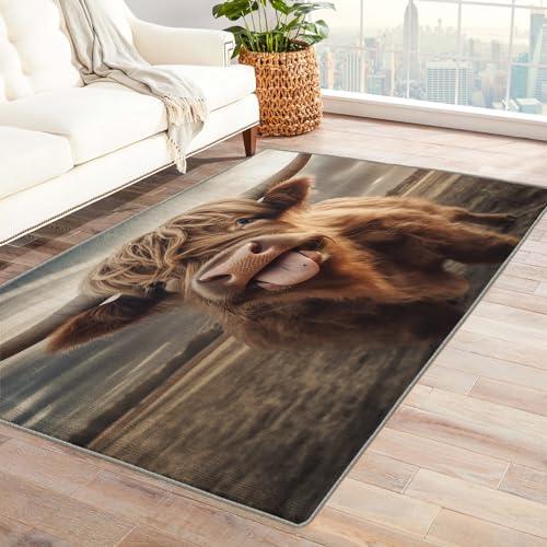 【並行輸入品】 Highland Cow Rug & Home Decor 4x6 Rug， Funny Farm Animal Rugs_1