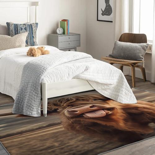 【並行輸入品】 Highland Cow Rug & Home Decor 4x6 Rug， Funny Farm Animal Rugs_4