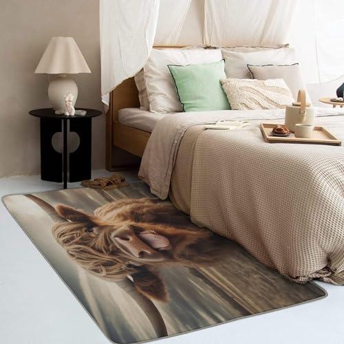 【並行輸入品】 Highland Cow Rug & Home Decor 4x6 Rug， Funny Farm Animal Rugs_7