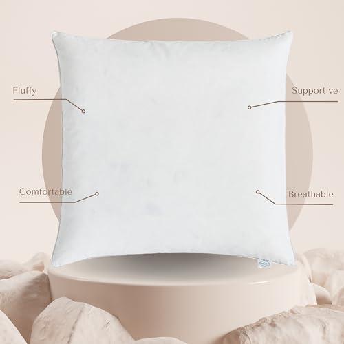 【並行輸入品】 CLOUDOTE Goose Feather Down Throw Pillow Insert (22"x22"， Pack o_4