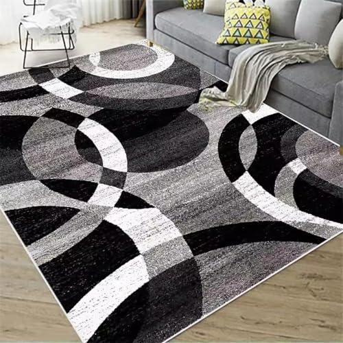 並行輸入品】 Modern Carpets for Living Room Soft Luxury Large Area
