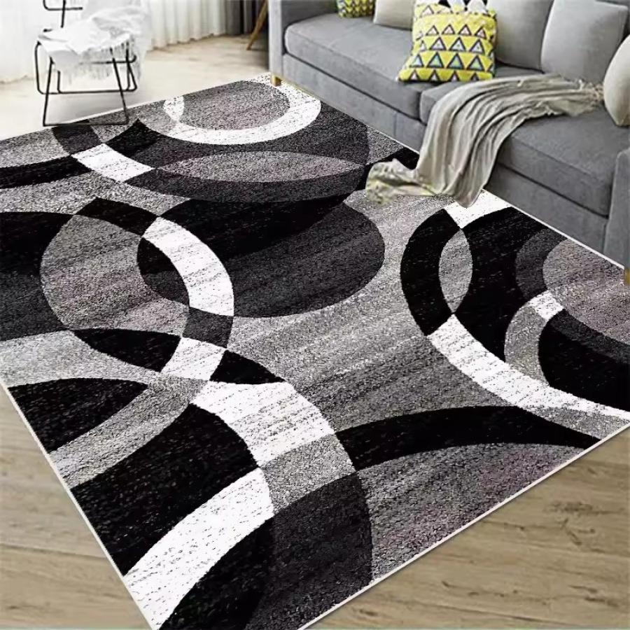 並行輸入品】 Modern Carpets for Living Room Soft Luxury Large Area