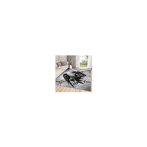 【並行輸入品】 Gothic Rugs for Bedroom Skull Rug， 5x8 Rug， Goth Crow Washable_2