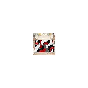 【並行輸入品】 Modern Rugs for Living Room Abstract Rug， 5x8 Rug， Red Black W_5