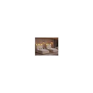 【並行輸入品】 HIFIT 2 Set Twin Size Upholstered LED Bed Frame with Charging St_2