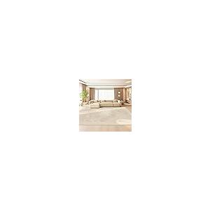 【並行輸入品】 Rugs for Living Room 6'x8'(71"x98") Living Room Carpet Cream Sty