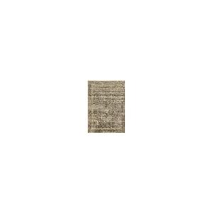 【並行輸入品】 5x7 Washable Area Rug Gray Vintage Traditional Floor Cover Folda