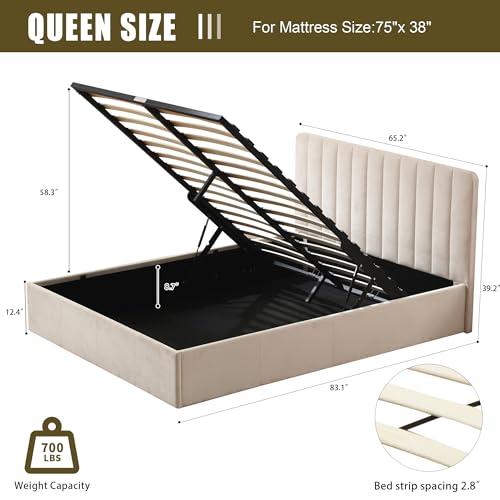 【並行輸入品】 PINJU Queen Size Storage Bed with Hydraulic Lift， Upholstered Pl