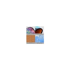 【並行輸入品】 Rainbow Tree of Life Plant Leaf Kitchen Rugs and Mats 2 Pieces A_8