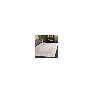 【並行輸入品】 SAFAVIEH Area Rug 4x6 Harvest Collection Beige & Brown， Hand_2