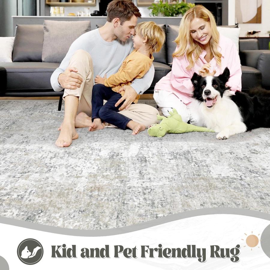【並行輸入品】 5x7 Area Rugs for Living Room， Washable Modern Abstract Large Ar_6