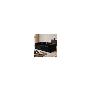 【並行輸入品】 78” Cloud Loveseat Sofa with 2 Cushions， Boneless Couches for Li_2