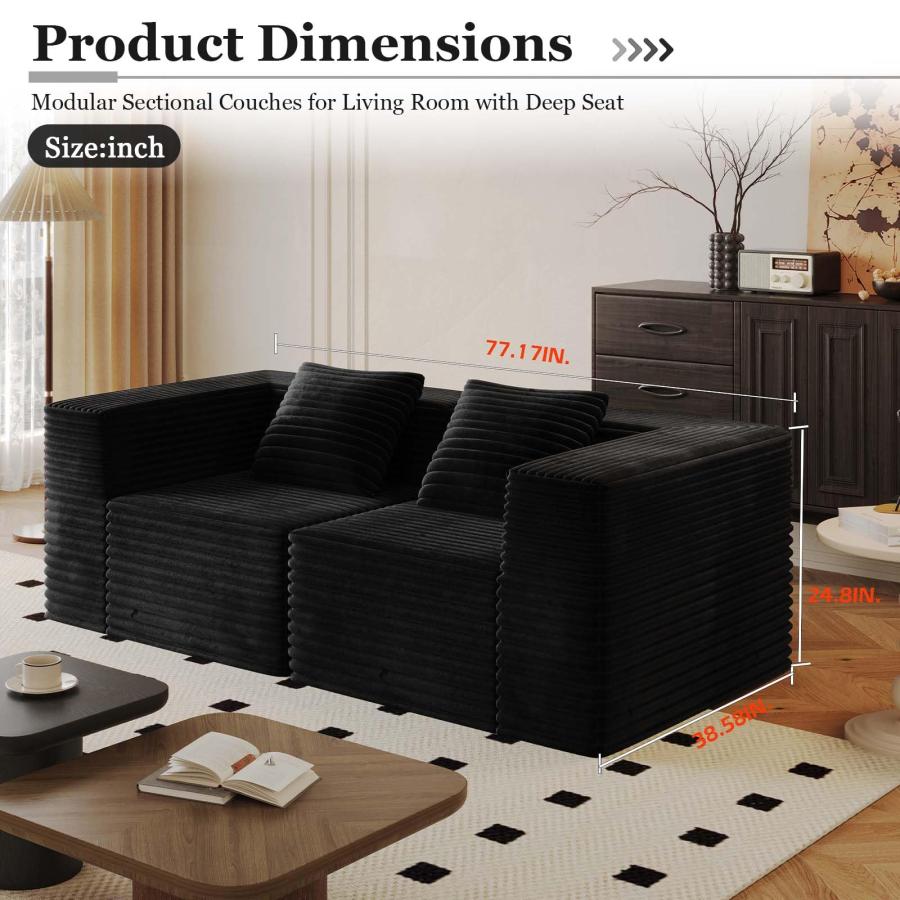 【並行輸入品】 78” Cloud Loveseat Sofa with 2 Cushions， Boneless Couches for Li_3