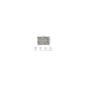 【並行輸入品】 Zebra Print Area Rug 4x6，Zebra Pattern Area Carpets for Living R_5