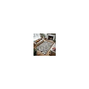 【並行輸入品】 Zebra Print Area Rug 4x6，Zebra Pattern Area Carpets for Living R_8