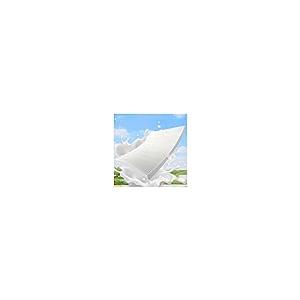 【並行輸入品】 Natural Premium Latex Mattress Topper， Medium Firm Single and Do_2
